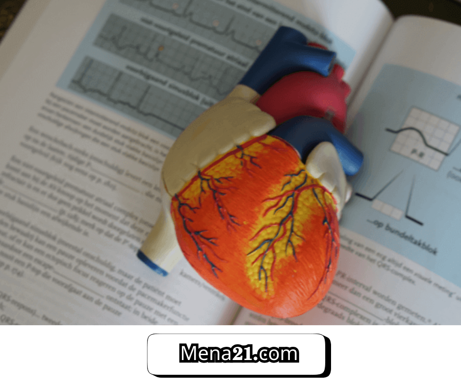 دراسة الطب في بلجيكا