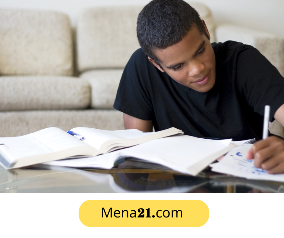 دراسة التعليم في الإمارات العربية المتحدة