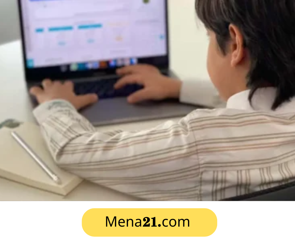 دراسة التعليم في نيوزيلندا