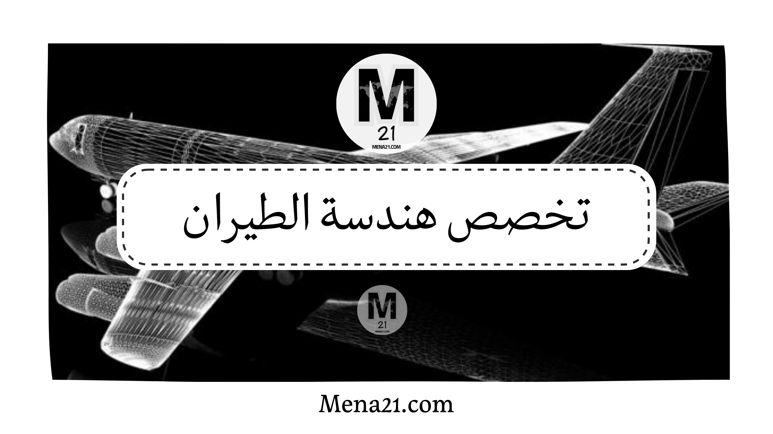 تخصص هندسة الطيران