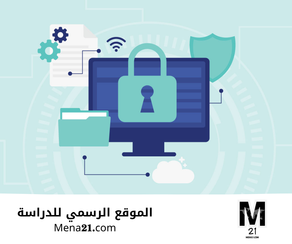 دراسة الأمن السيبراني في جنوب أفريقيا