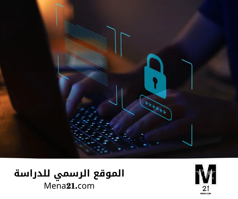 دراسة الأمن السيبراني في جيبوتي