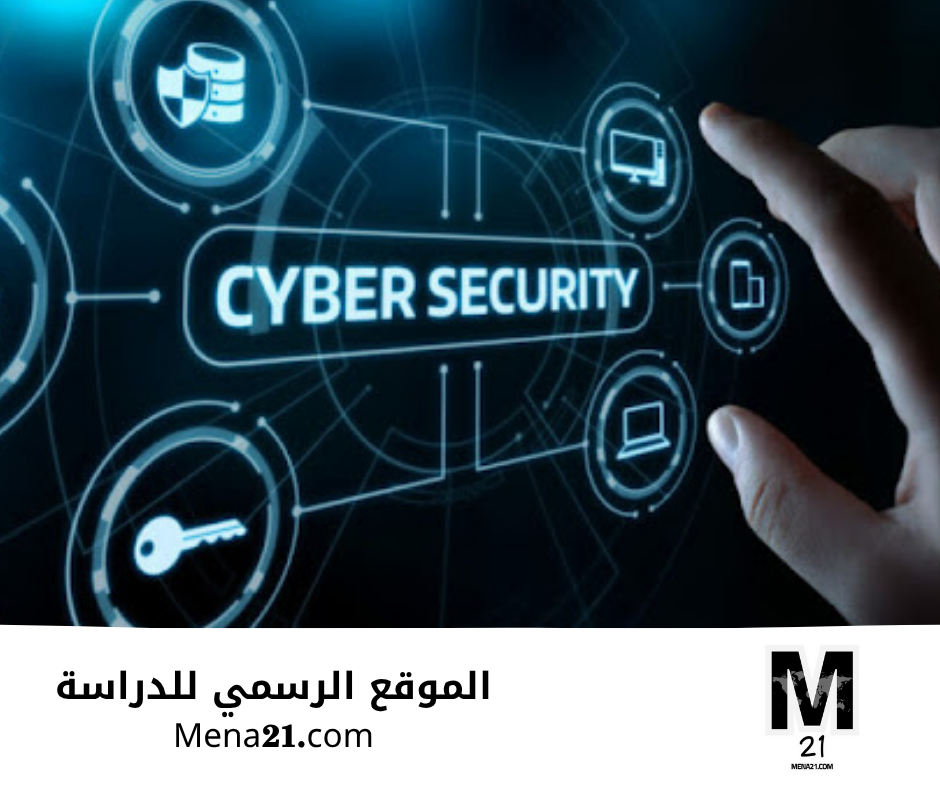 دراسة الأمن السيبراني في الدنمارك