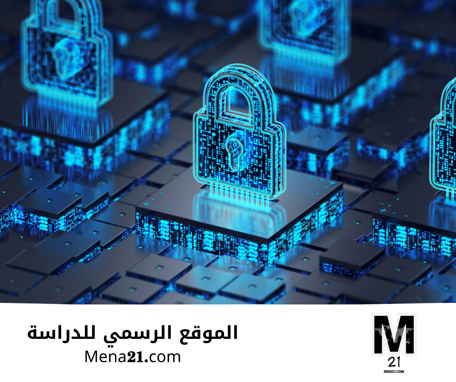 دراسة الأمن السيبراني في تركيا