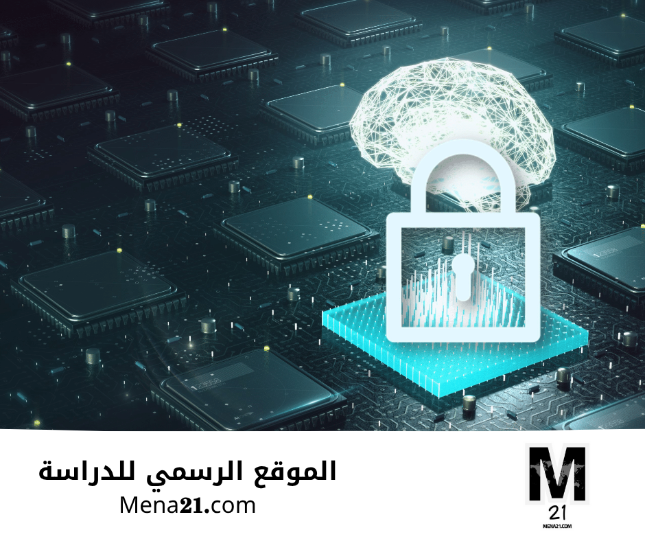 دراسة الأمن السيبراني في المجر