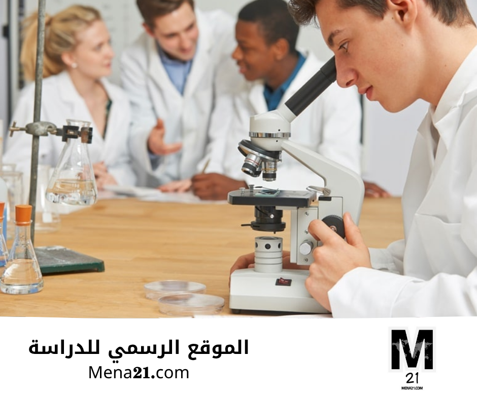 دراسة الكيمياء في السويد