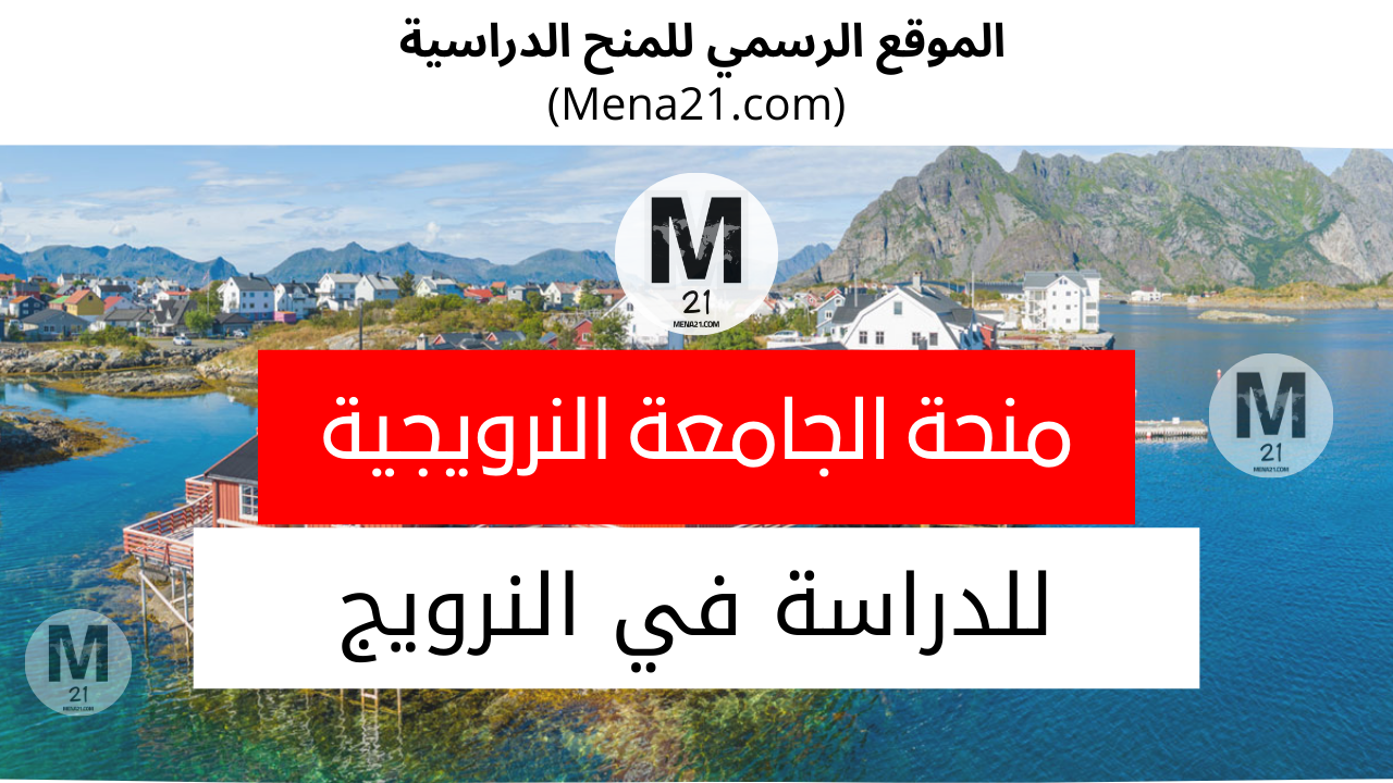 منحة الجامعة النرويجية للعلوم والتكنولوجيا