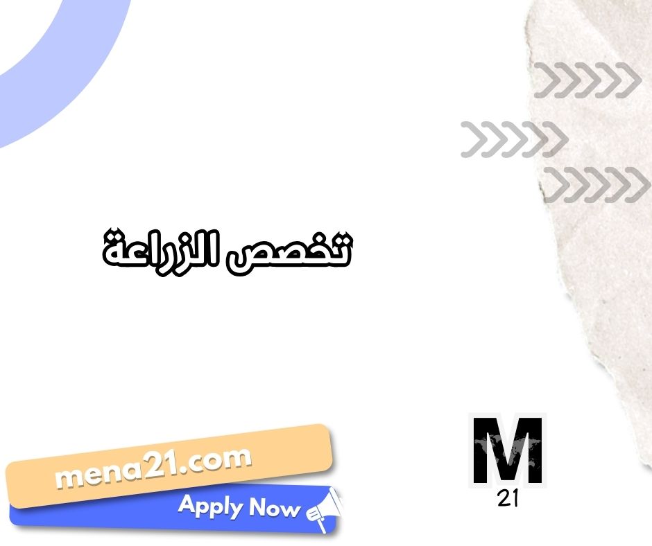 تخصص التسويق