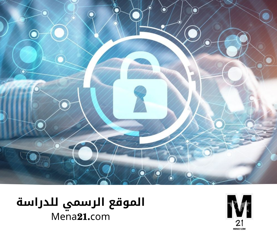 دراسة الأمن السيبراني في هولندا