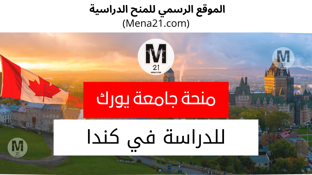 منحة جامعة يورك