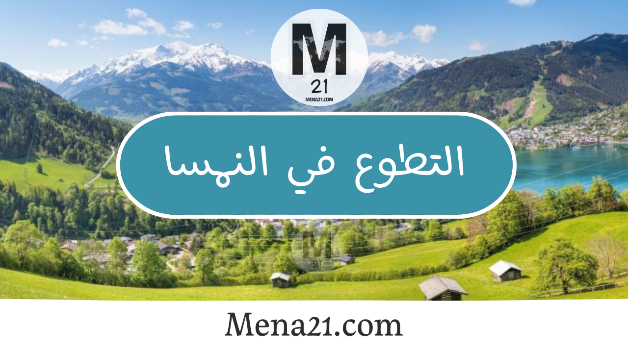 التطوع في النمسا