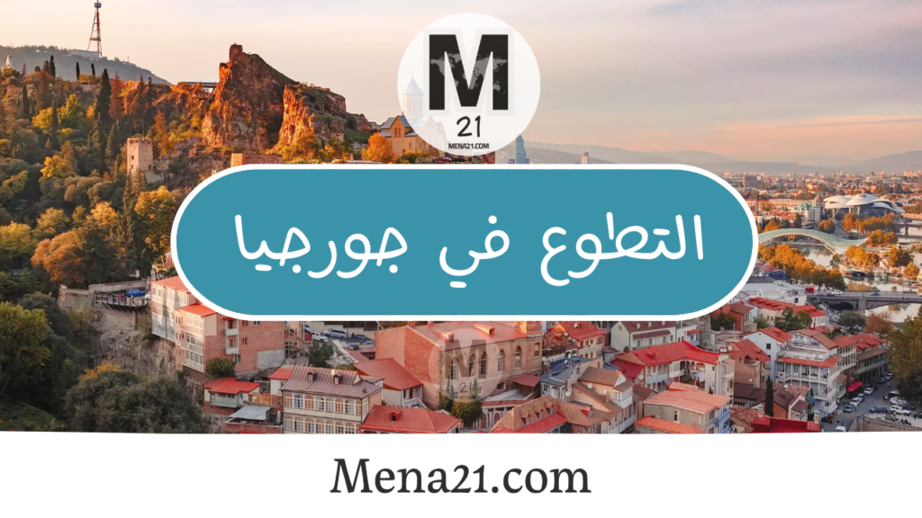 التطوع في جورجيا