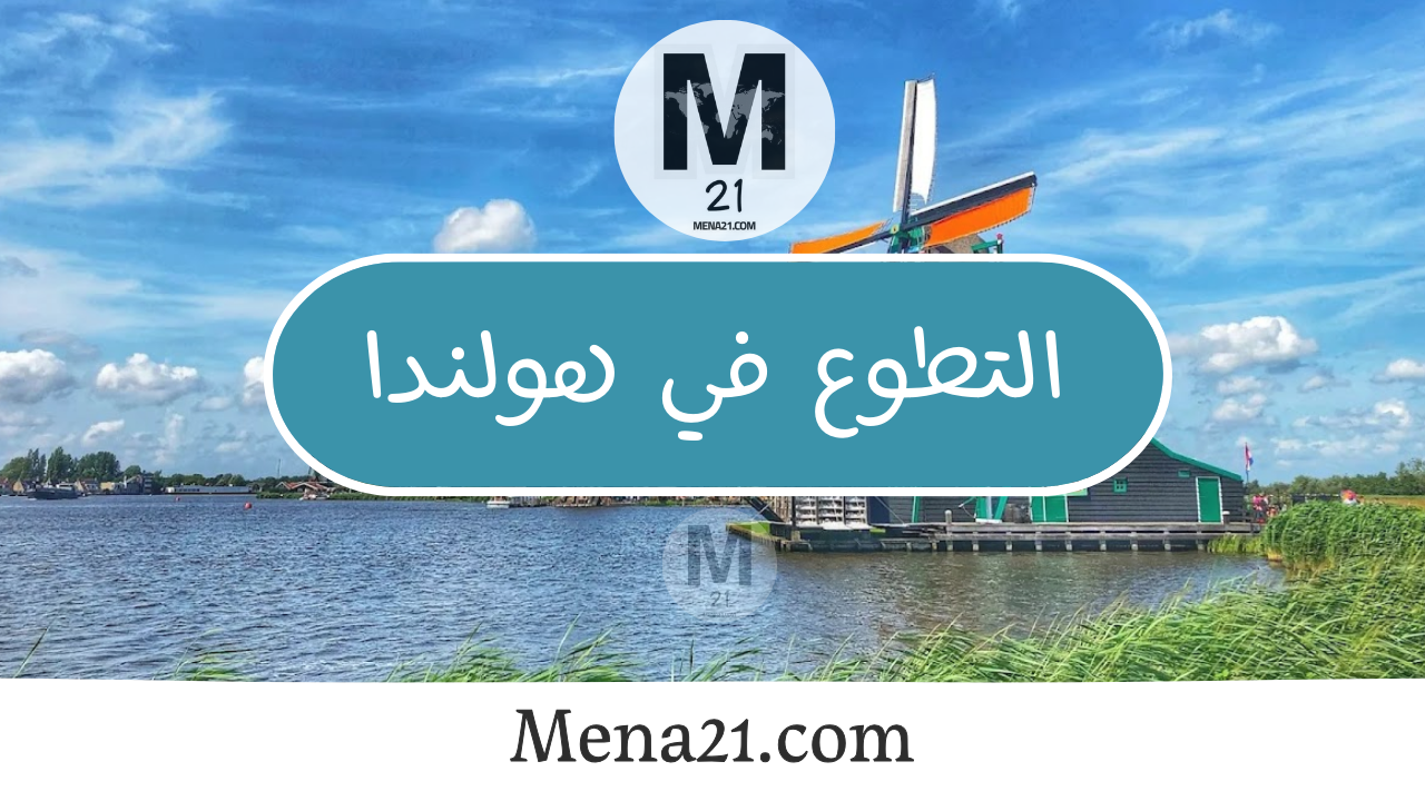 التطوع في هولندا