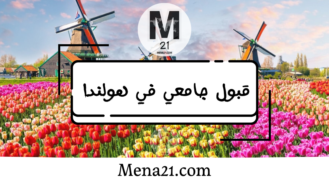 قبول جامعي في هولندا