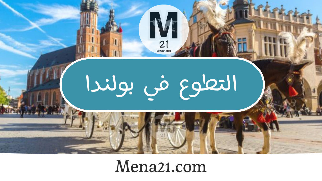 التطوع في بولندا