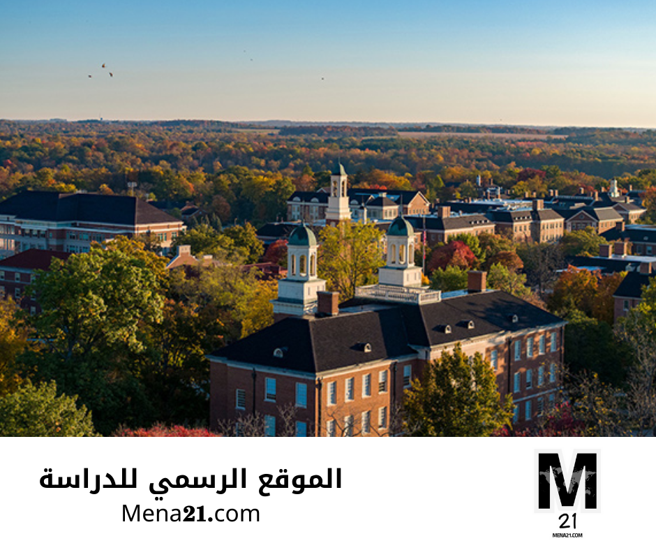 منحة مايامي ستامبس