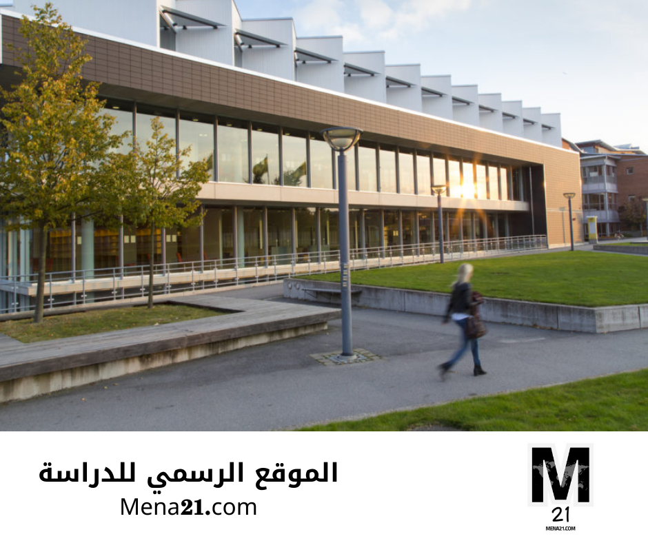 منحة جامعة لينيوس