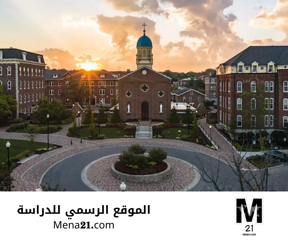 منحة جامعة دايتون