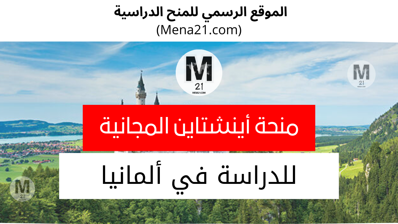 منحة زمالة أينشتاين
