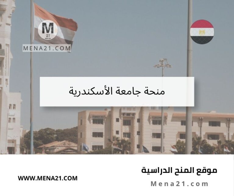 منحة جامعة الإسكندرية