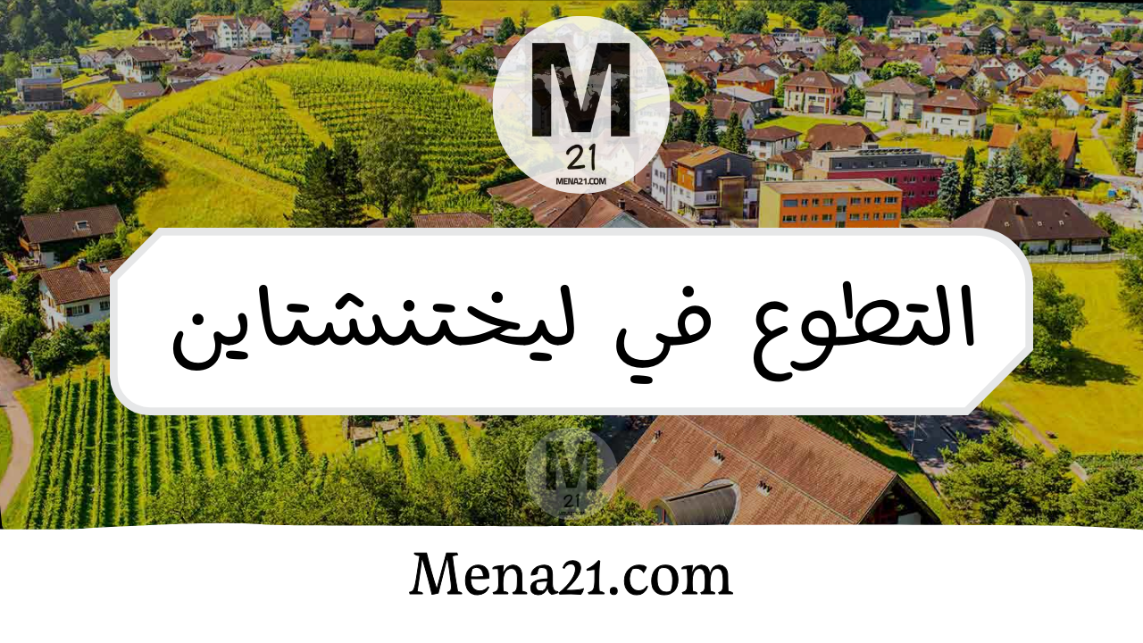 التطوع في ليختنشتاين