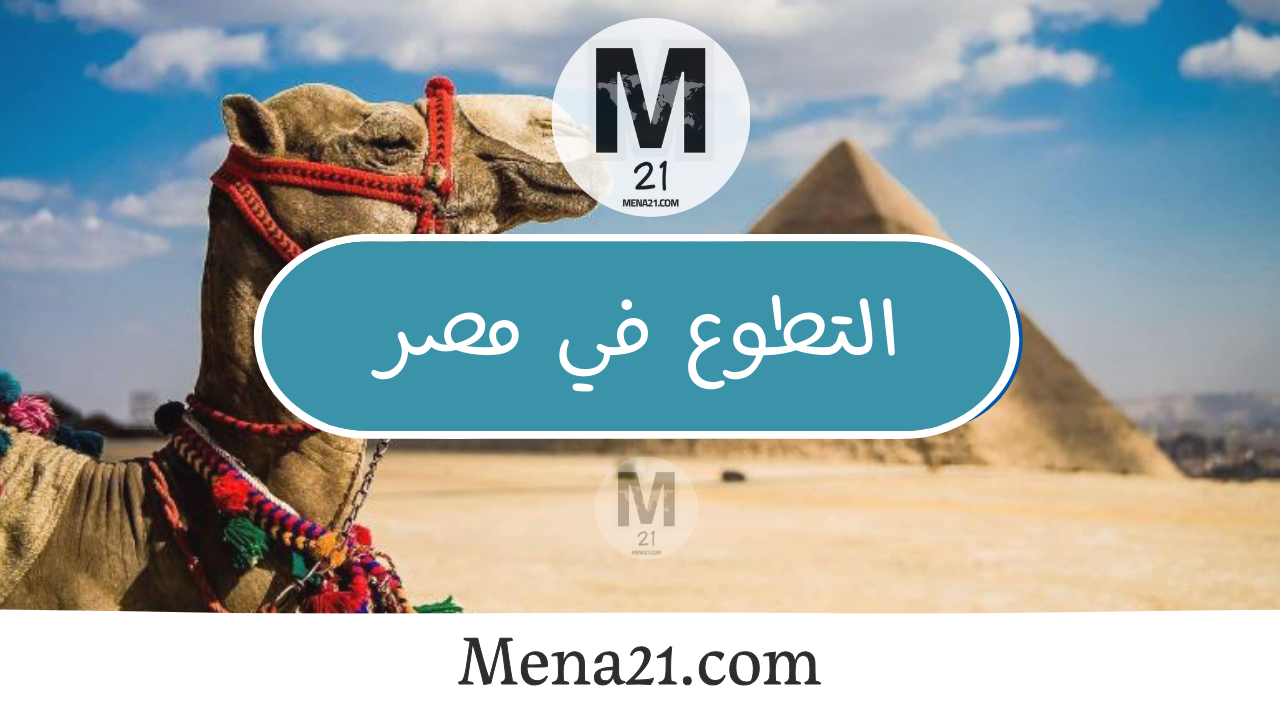 التطوع في مصر