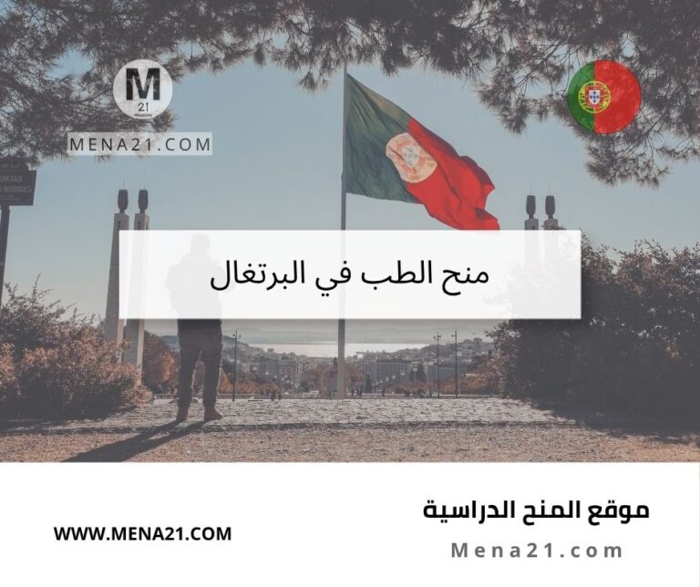 منح الطب في البرتغال