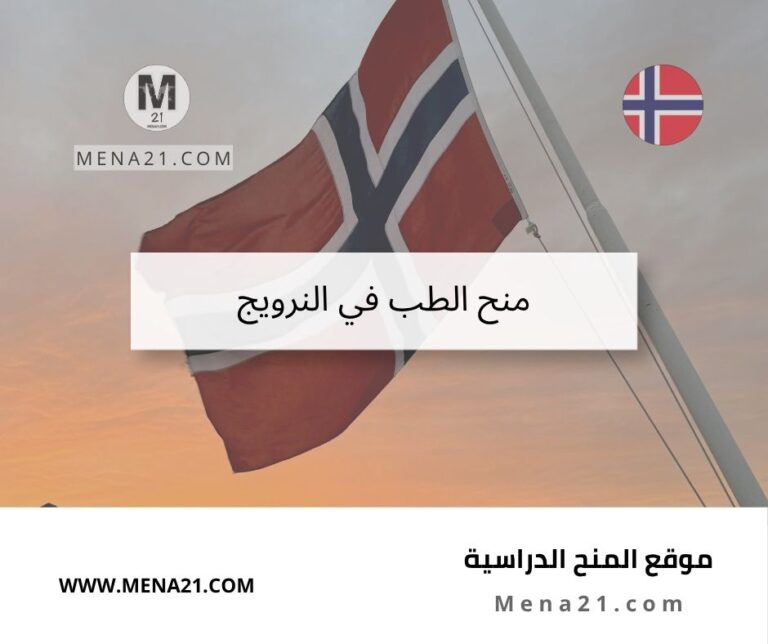 منح الطب في النرويج