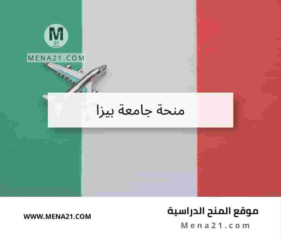 منحة جامعة بيزا