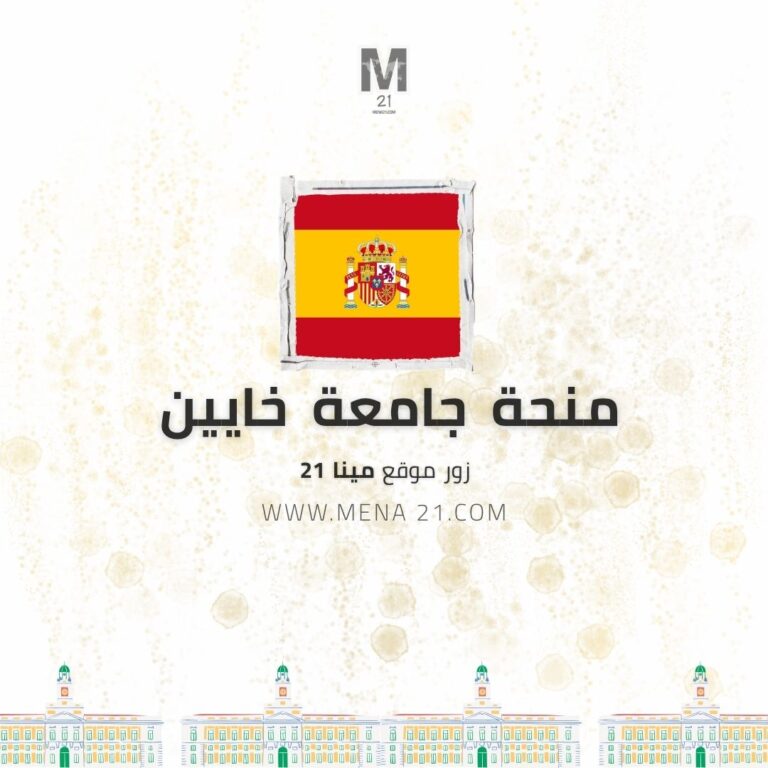 منحة جامعة خاين