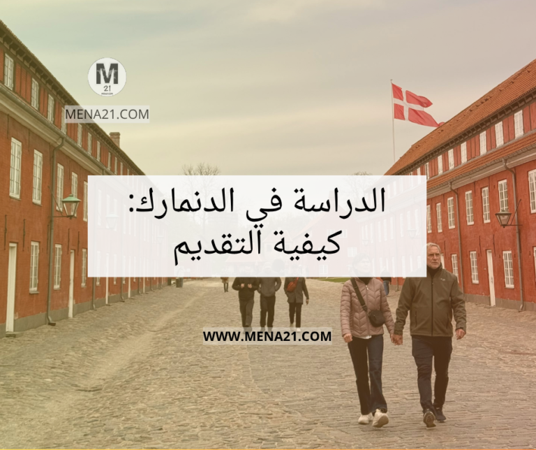 الدراسة في الدنمارك