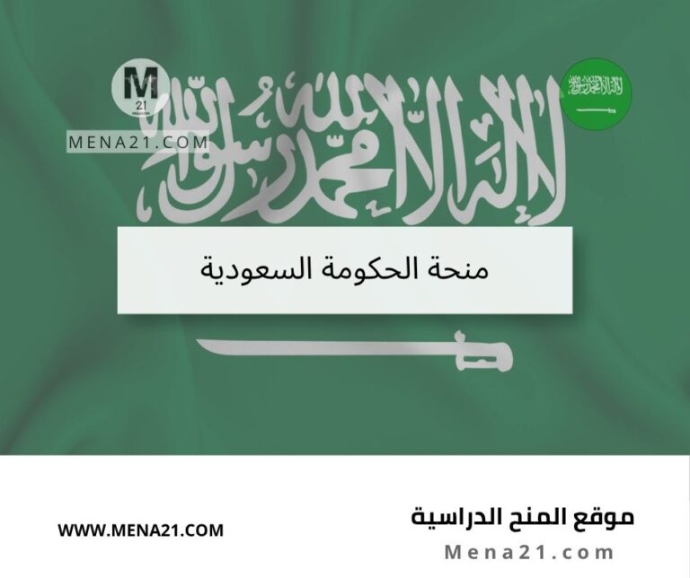 منح الحكومة السعودية