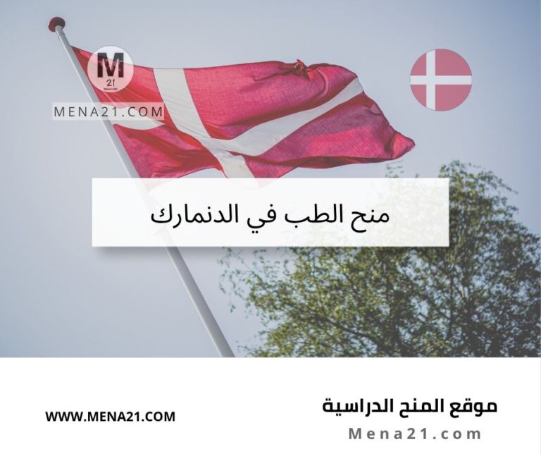 منح الطب في الدنمارك