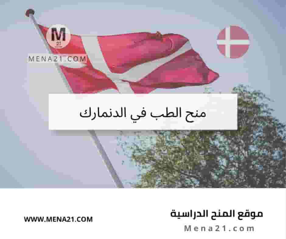 منح الطب في الدنمارك