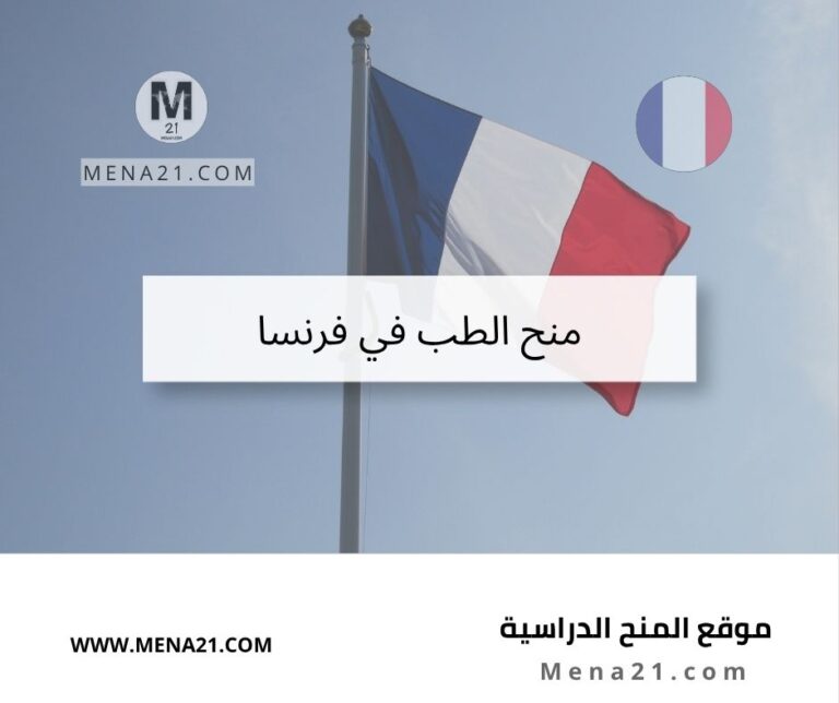 منح الطب في فرنسا