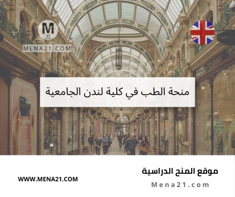 منحة الطب في كلية لندن الجامعية