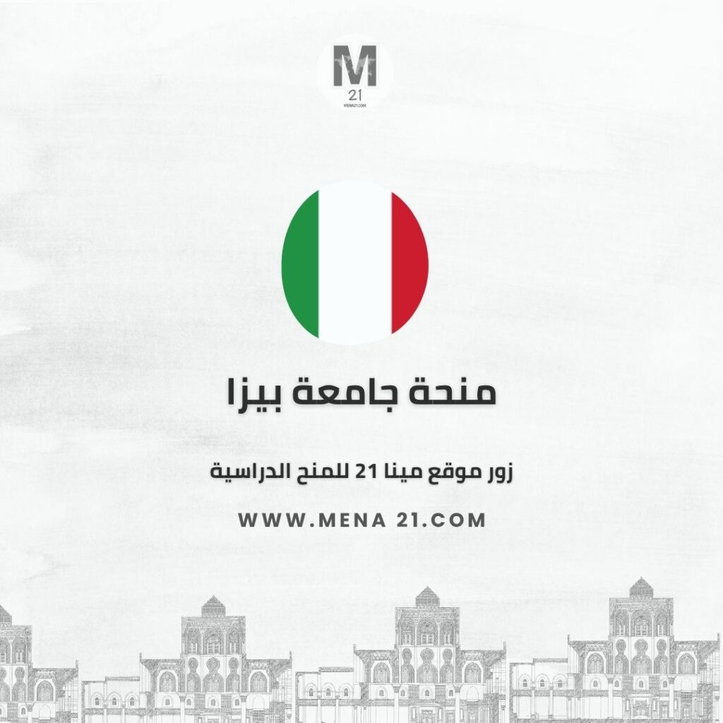 منحة جامعة بيزا
