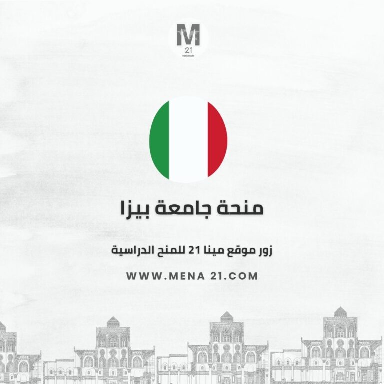 منحة جامعة بيزا