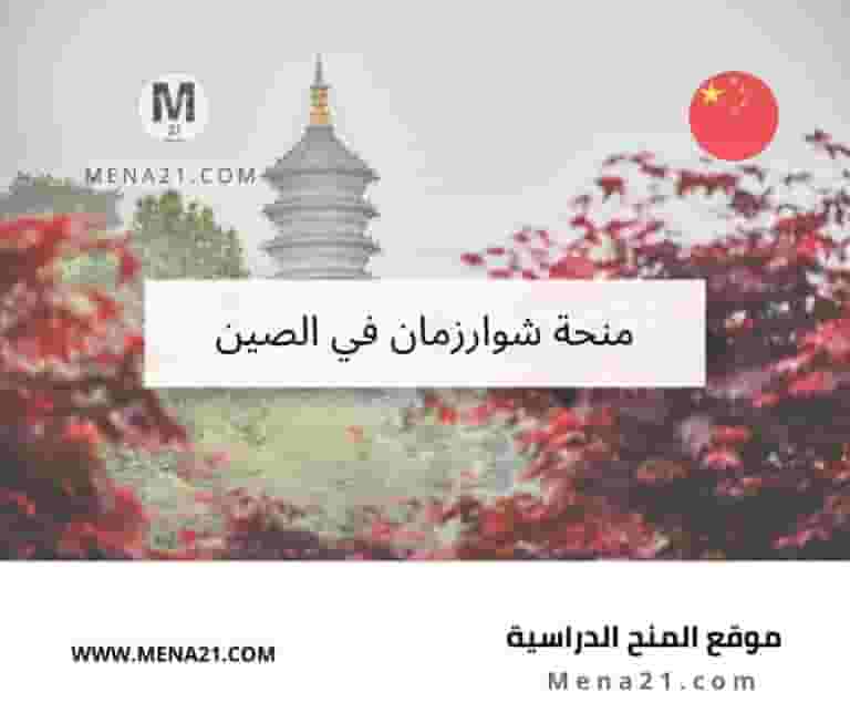 منحة شوارزمان في الصين