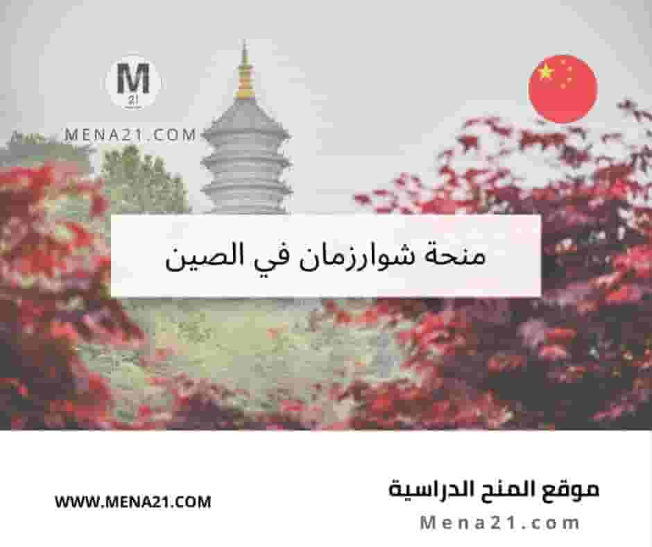 منحة شوارزمان في الصين