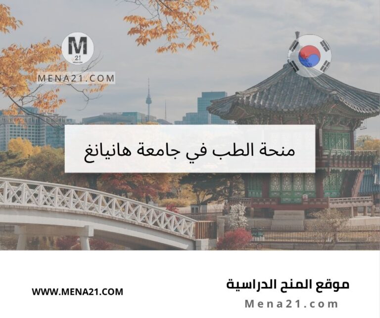 منحة الطب في جامعة هانيانغ