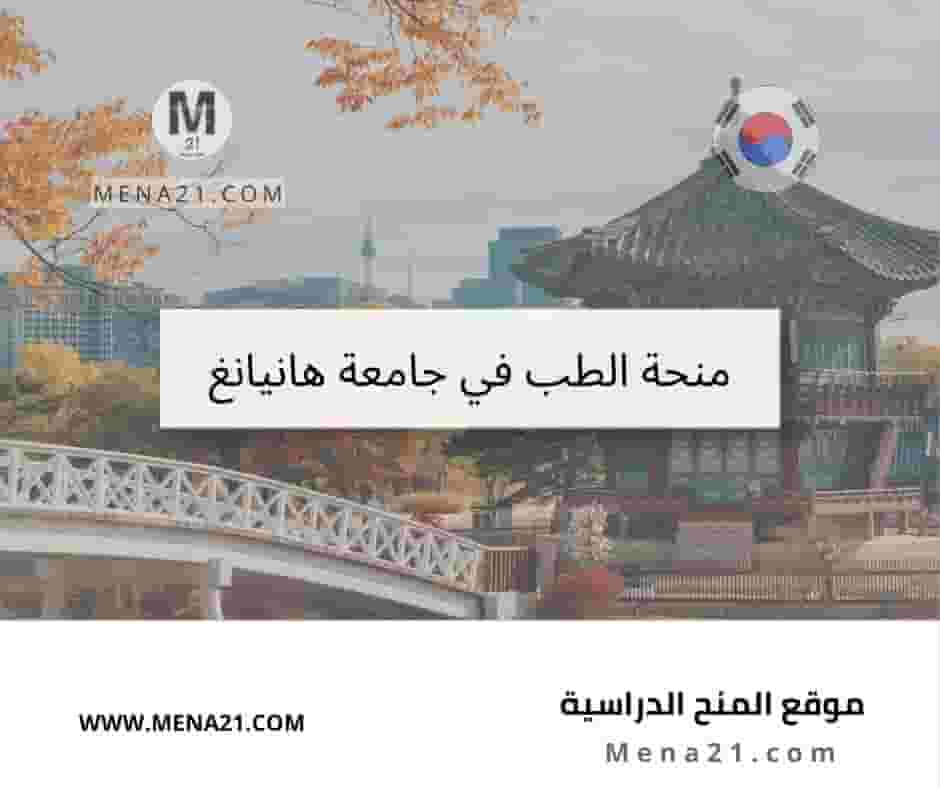منحة الطب في جامعة هانيانغ