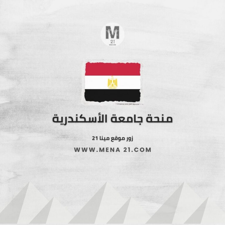 منحة جامعة الإسكندرية
