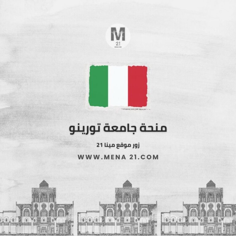 منحة جامعة تورينو