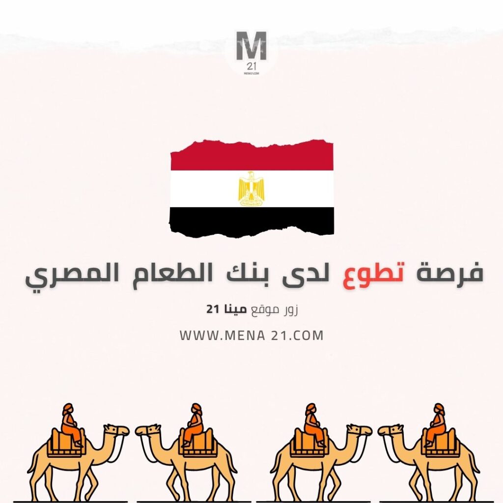 بنك الطعام المصري